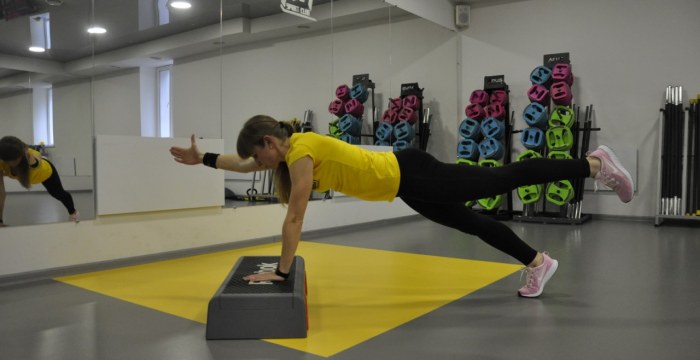 Power Step, Basic step